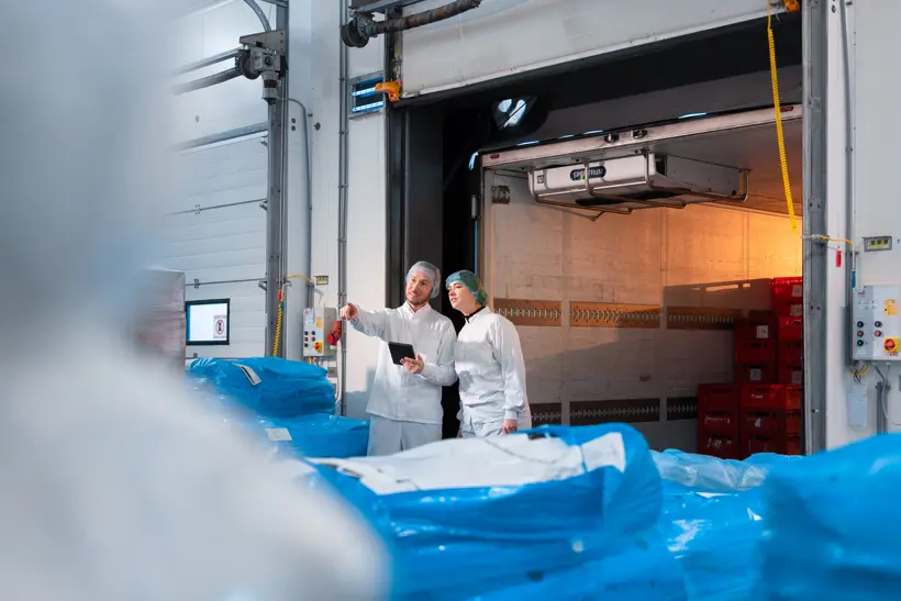 Van Loon21 12 2021 Epsilon Studios Ektor Tsolodimos (29 Van 30)