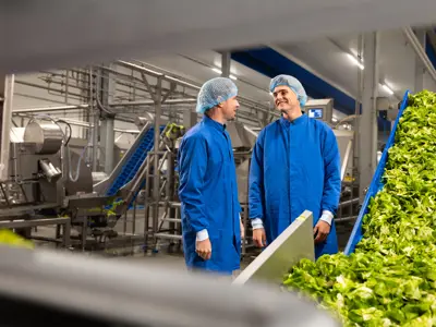 De stille kracht achter voedselveiligheid