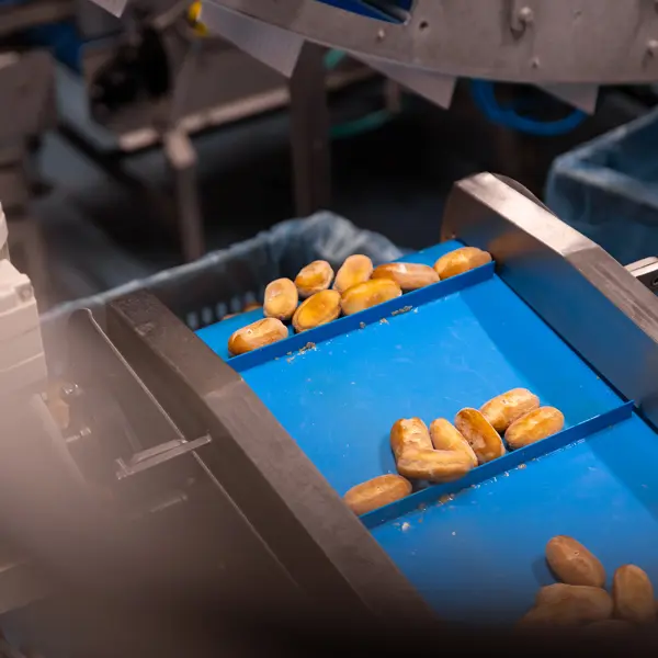 Het waarborgen van kwaliteitsnormen en naleving van regelgeving.