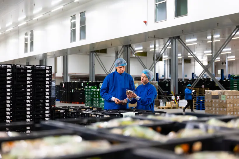 Yor In Hessing Sevenum 07 08 2025 Epsilon Studios Ektor Tsolodimos Deel 2 3